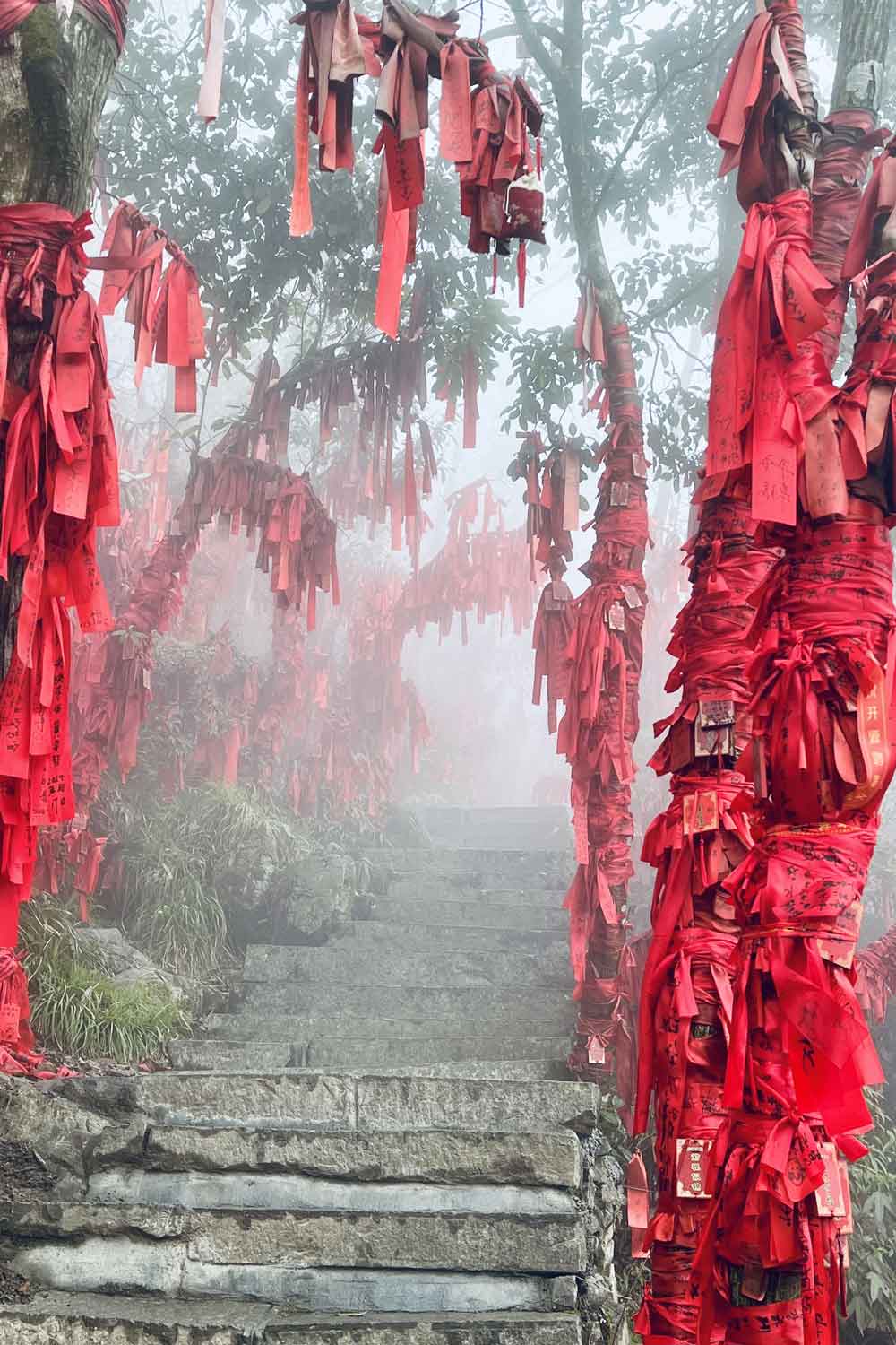 La Forêt des Souhaits à Tianmen