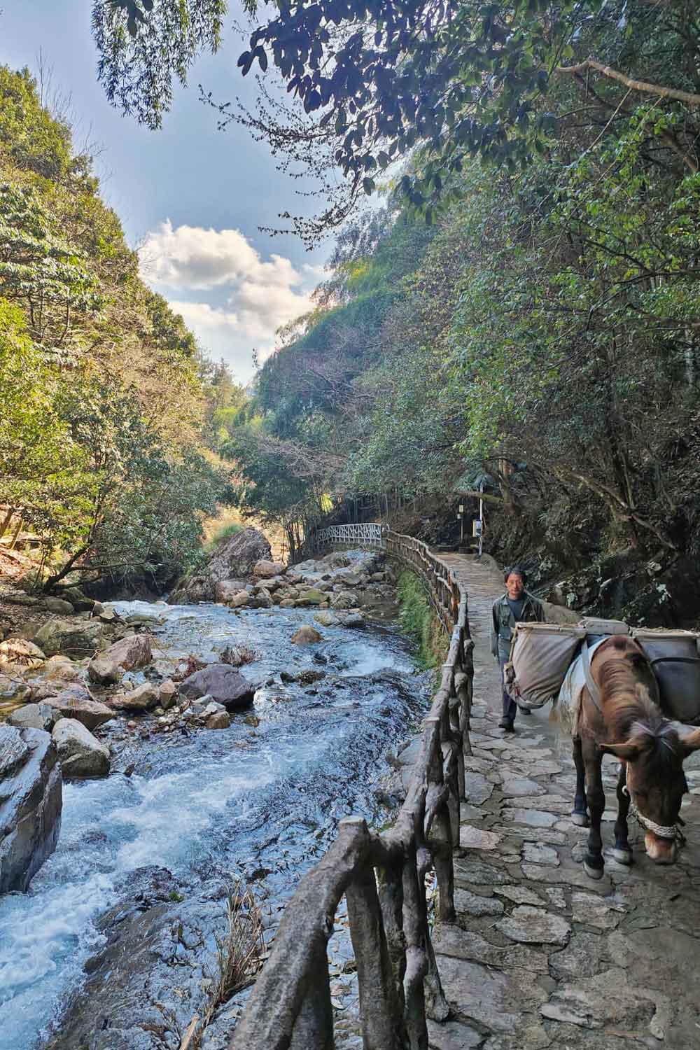 Cascades Jiulong